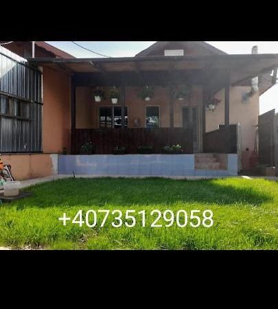 Central City House Тулча Экстерьер фото