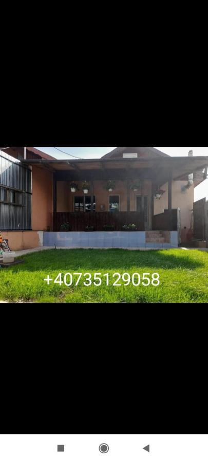 Central City House Тулча Экстерьер фото